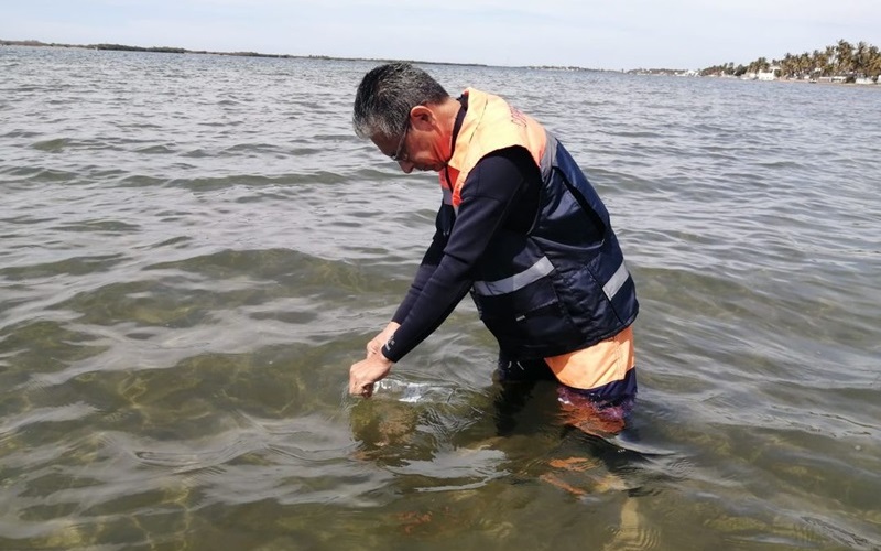 biólogo recolecta muestra en playa de sinaloa