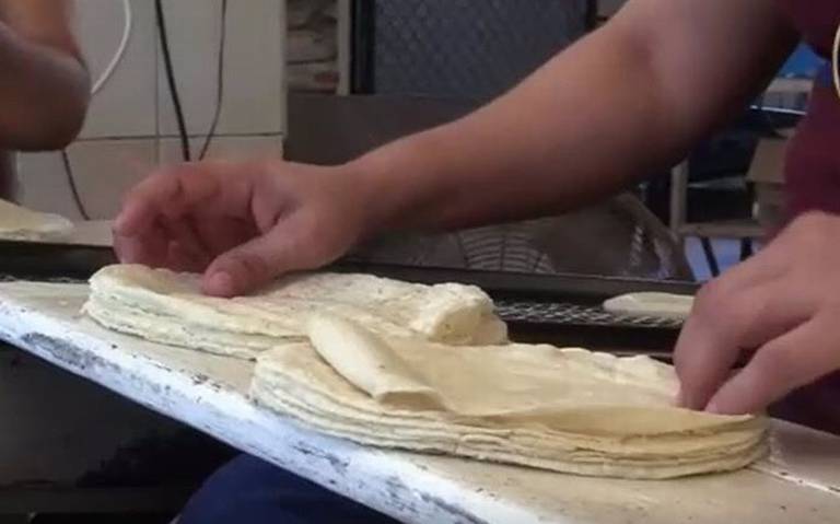 “Podría subir el precio de la tortilla ante caída en la producción de maíz en Sinaloa”: Industriales