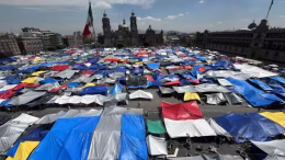 plantón de maestros zócalo