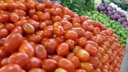 puesto de tomates en el mercado