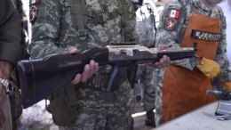 programa desarme voluntario