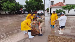 antonio menendez encabeza trabajos de apoyo