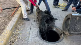 desasolve de drenaje