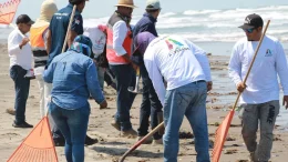 trabajadores limpian playa