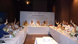 sesión ordinaria de sipinna