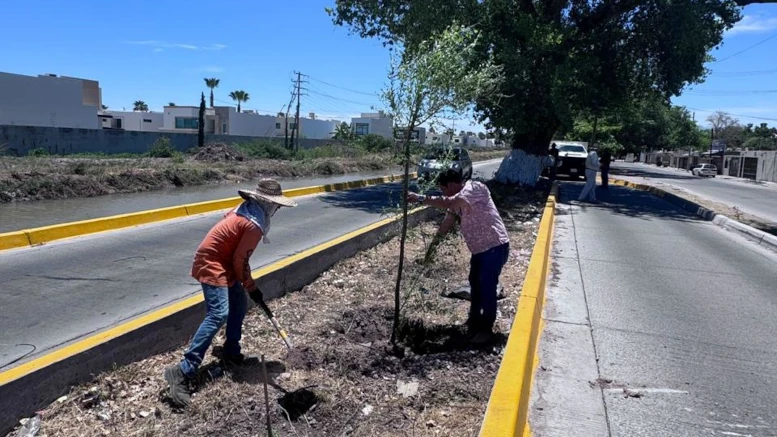 trabajadores limpiando camellon