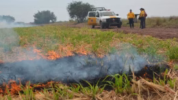 proteccion civil ahome vigila quema de soca