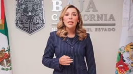 Captura de pantalla - marina del pilar