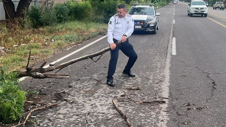 agente de transito en labor de apoyo