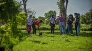 jovenes plantando arboles en parque naranjos