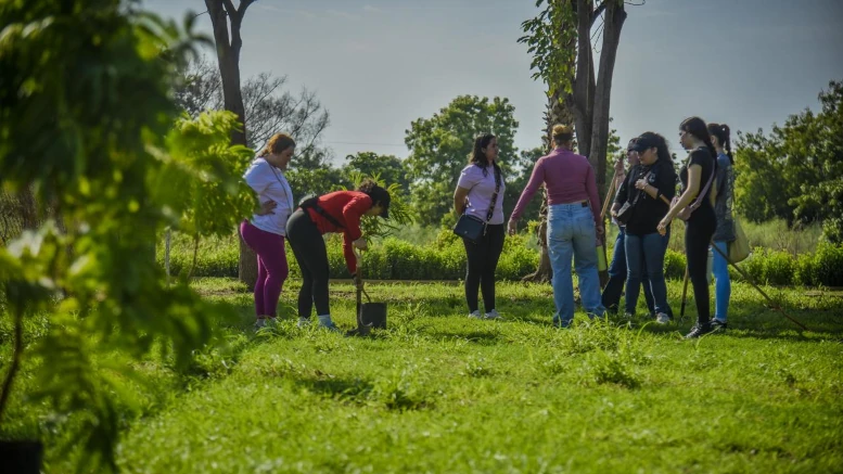 jovenes plantando arboles en parque naranjos