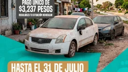 programa baja definitiva