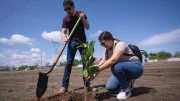 jornada de reforestacion
