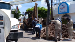 trabajadores de japama