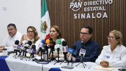 wendy barajas cortés presidenta del pan sinaloa