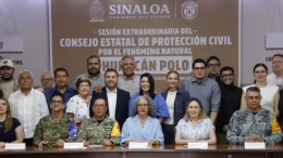 comite estatal de proteccion civil
