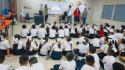 cursos de sipinna