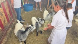 convivencia de niños en granja de mascotas